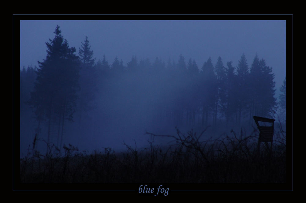 blue fog