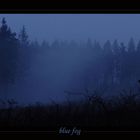 blue fog