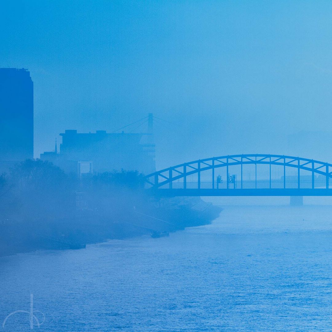 Blue Fog