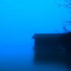 Blue Fog