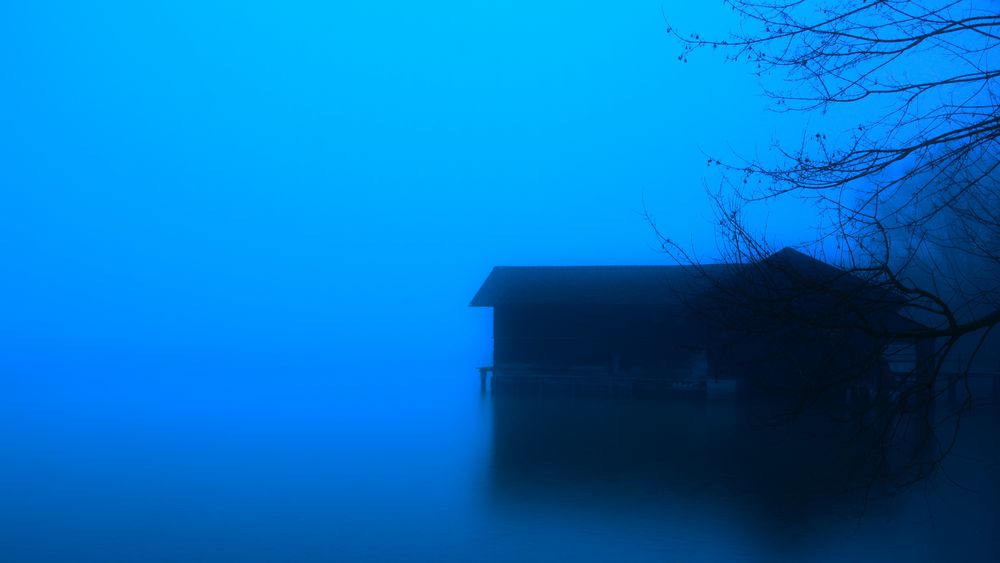 Blue Fog