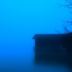 Blue Fog