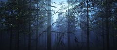 blue forest