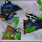 Blue Frog Collage - Gewidmet Delia und allen Froschfreunden