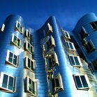 blue Gehry...