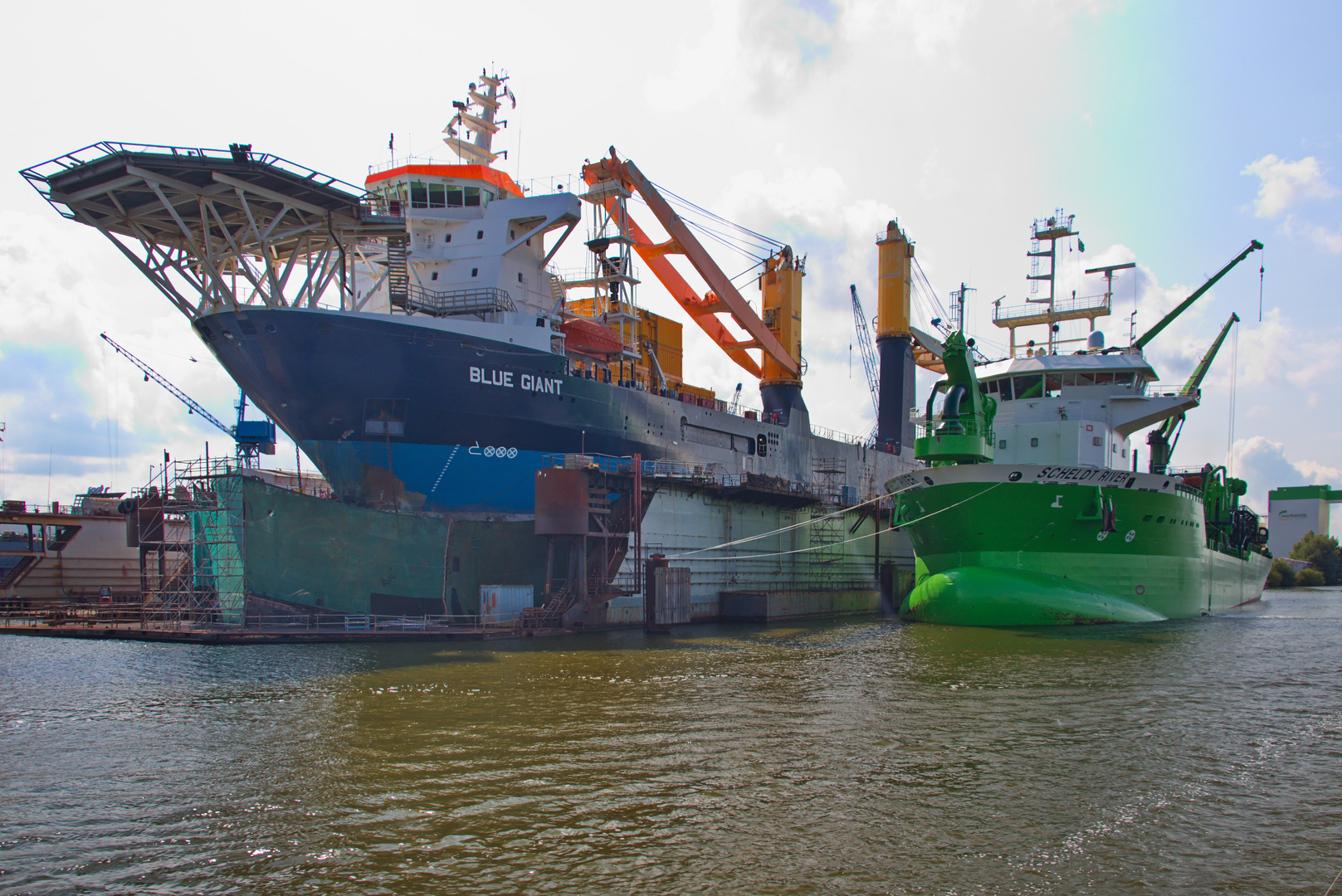 Blue Gigant und Scheldt River