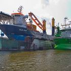 Blue Gigant und Scheldt River