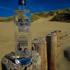 Blue Gin 01