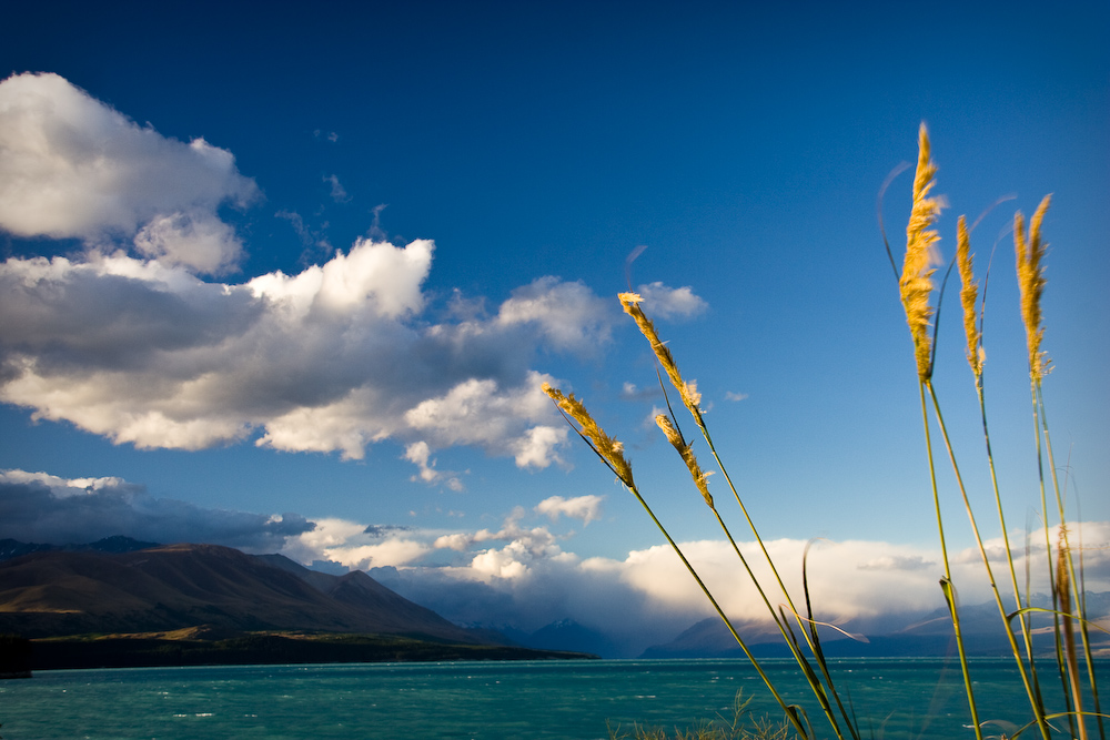 Blue Green Neuseeland von Klaas M