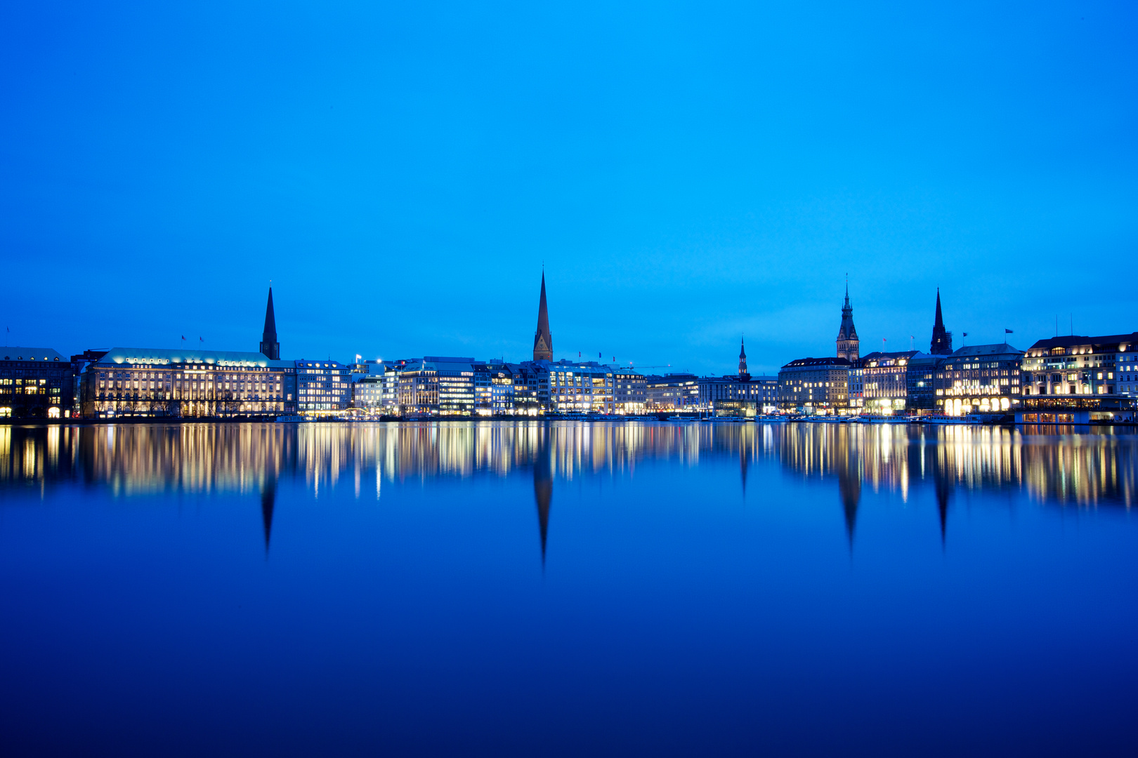 Blue Hamburg