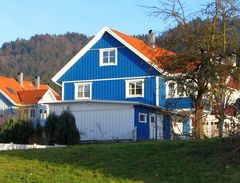 Blue Home