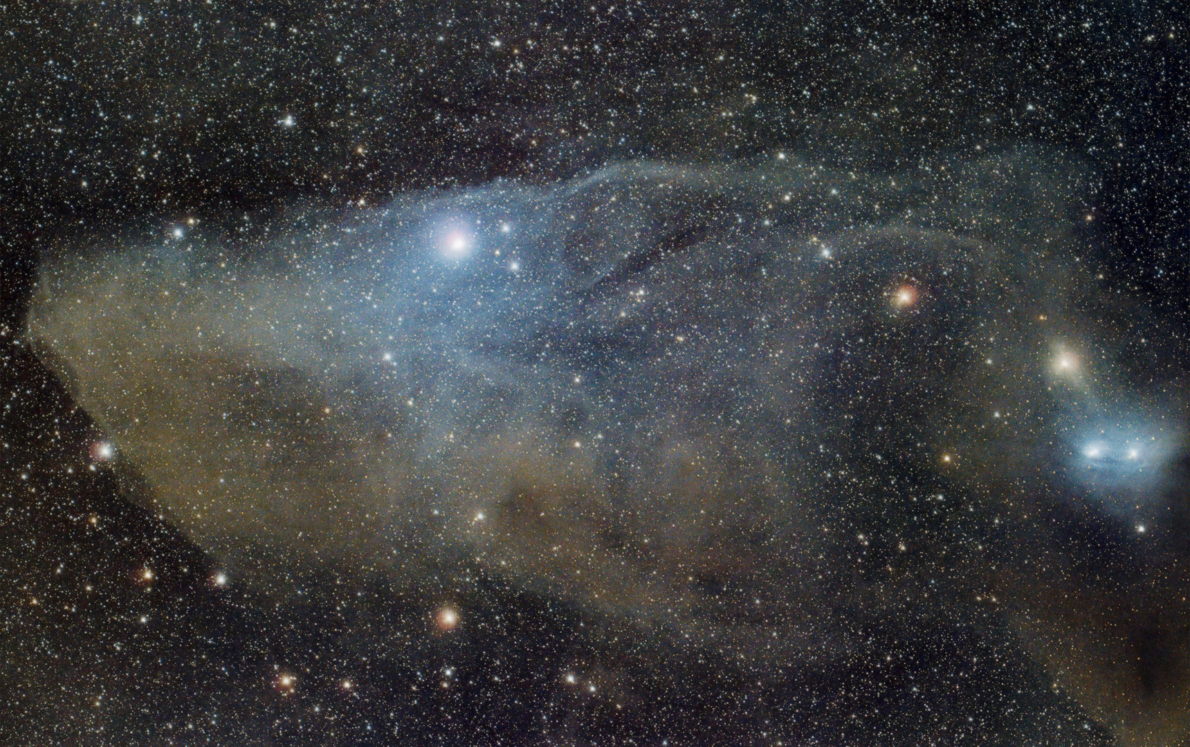 Blue Horsehead (IC4592)