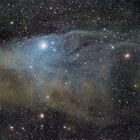 Blue Horsehead (IC4592)