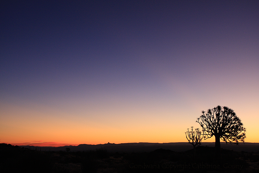 Blue hour