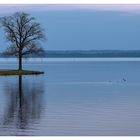 Blue hour