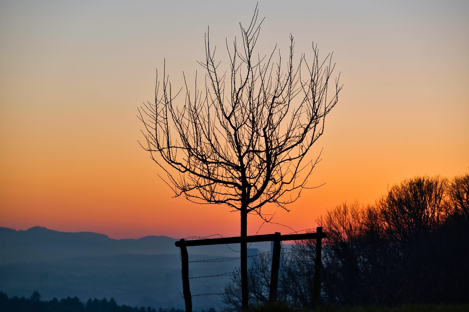 Blue Hour