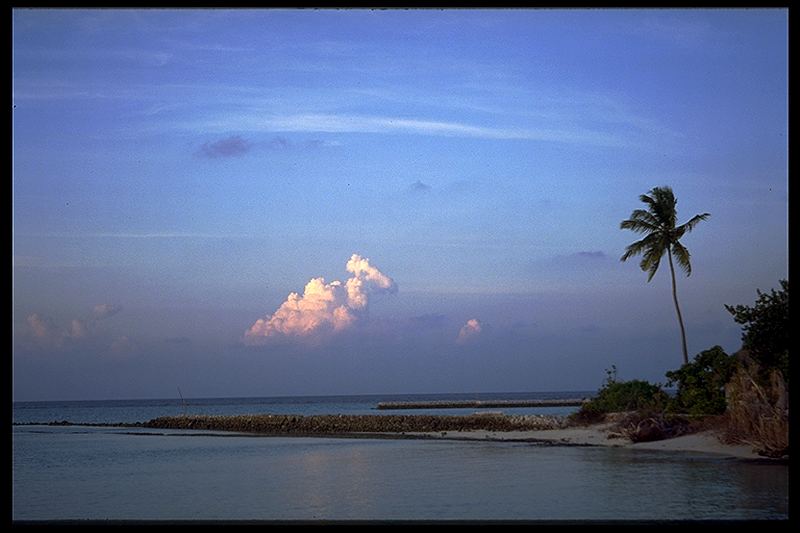 Blue Hour !