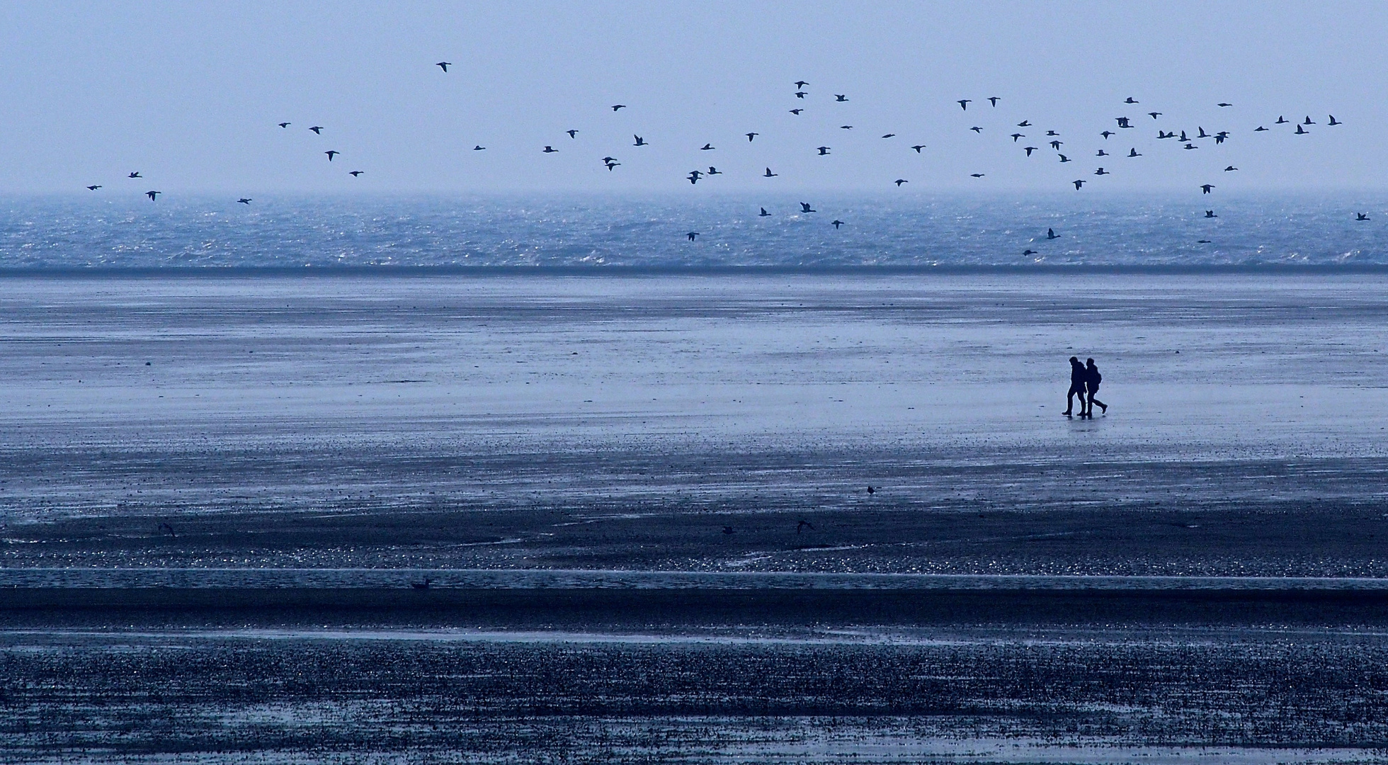 blue hour at the sea