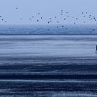 blue hour at the sea