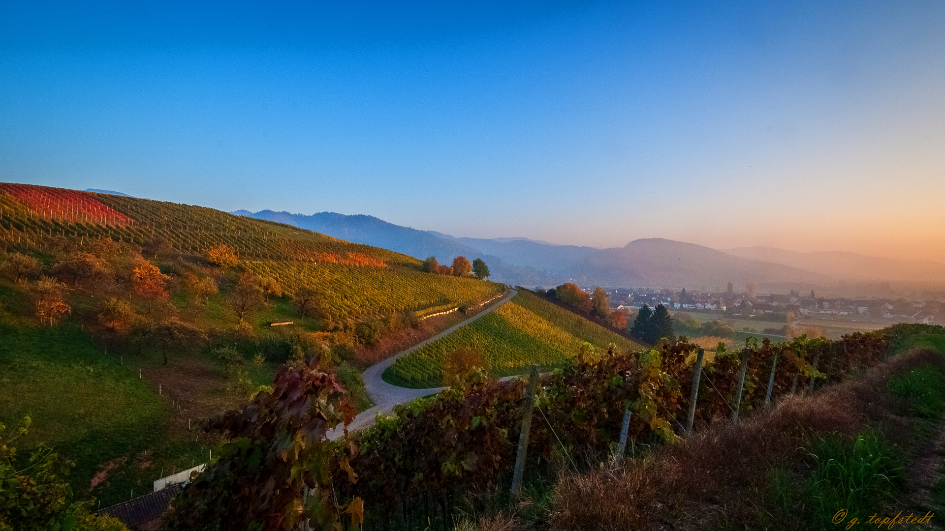 Blue Hour on Vineyard