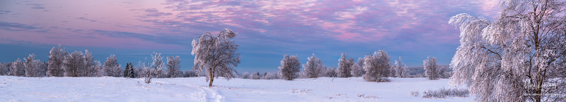 Blue Hour Pano