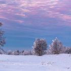 Blue Hour Pano