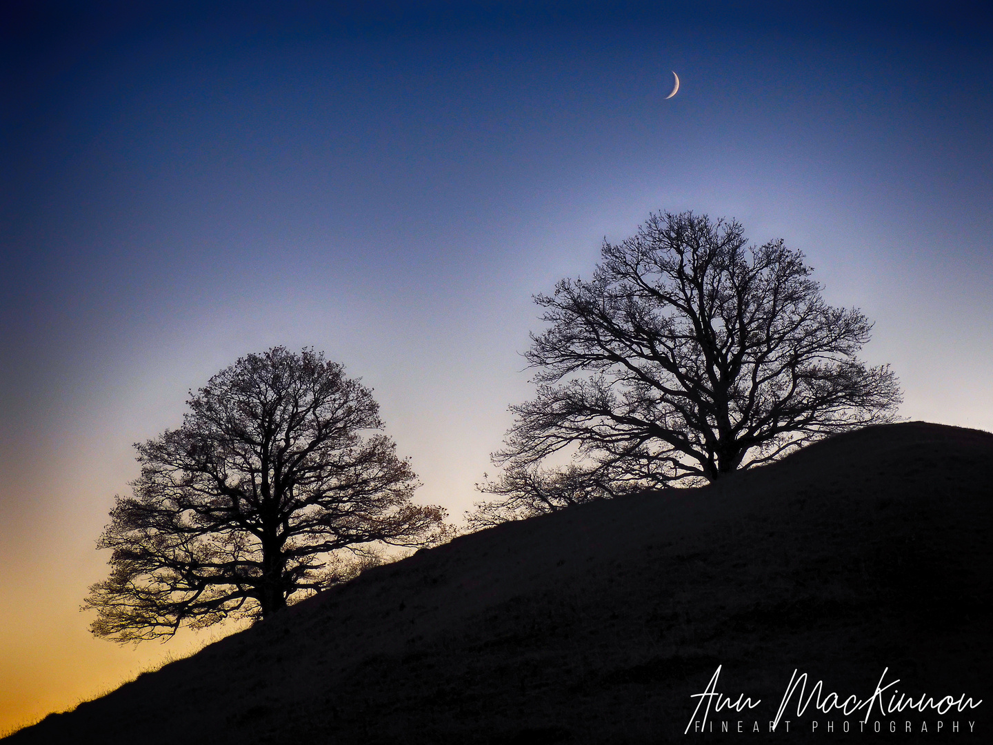 Blue Hour plus Moon (DSCN1297)