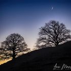 Blue Hour plus Moon (DSCN1297)