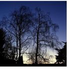 Blue Hour today