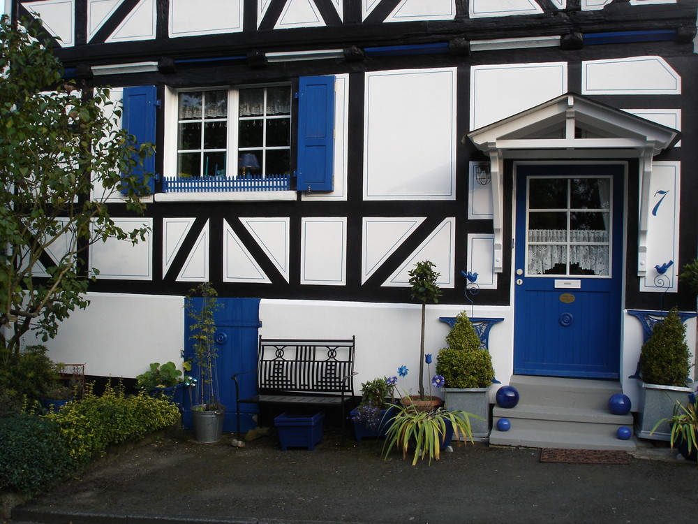 Blue House