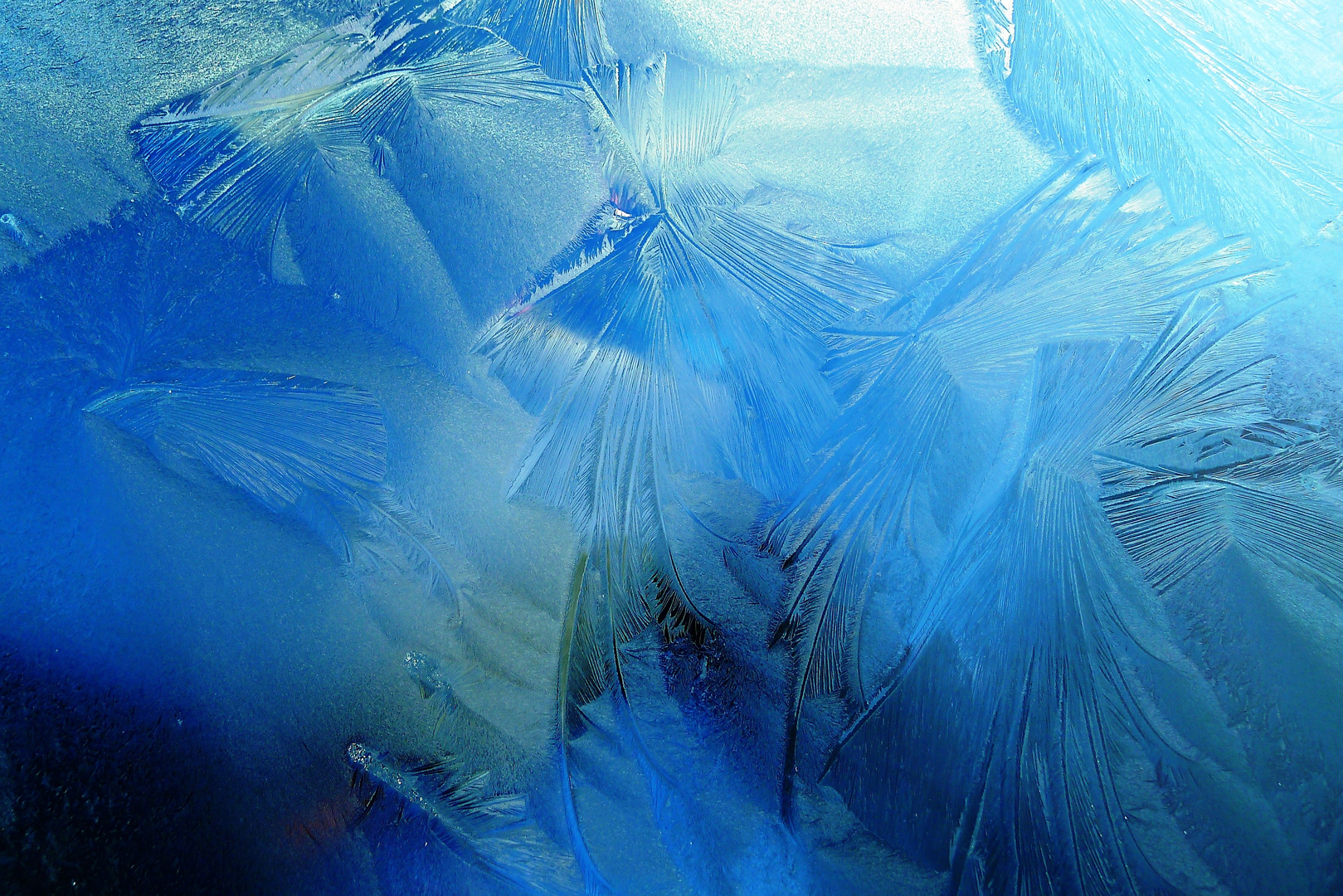 Blue Ice