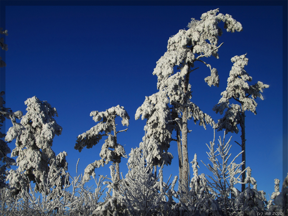 Blue-Ice-Formation Albstadt-Onstmettingen