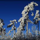 Blue-Ice-Formation Albstadt-Onstmettingen