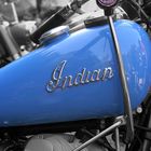 blue indian