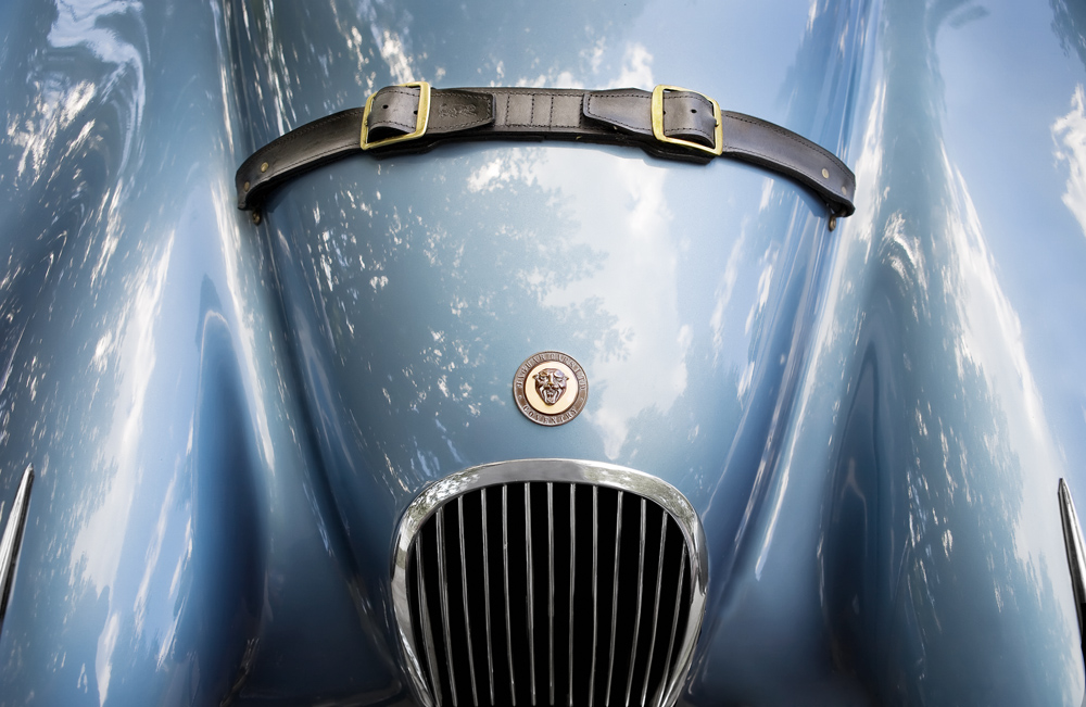 Blue Jaguar Engine Hood