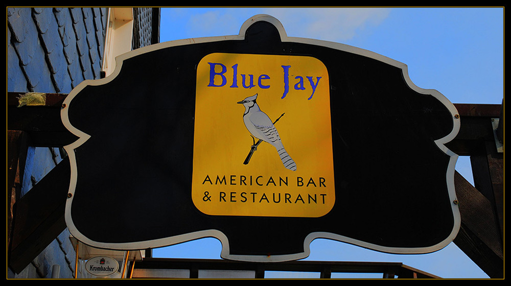 Blue Jay