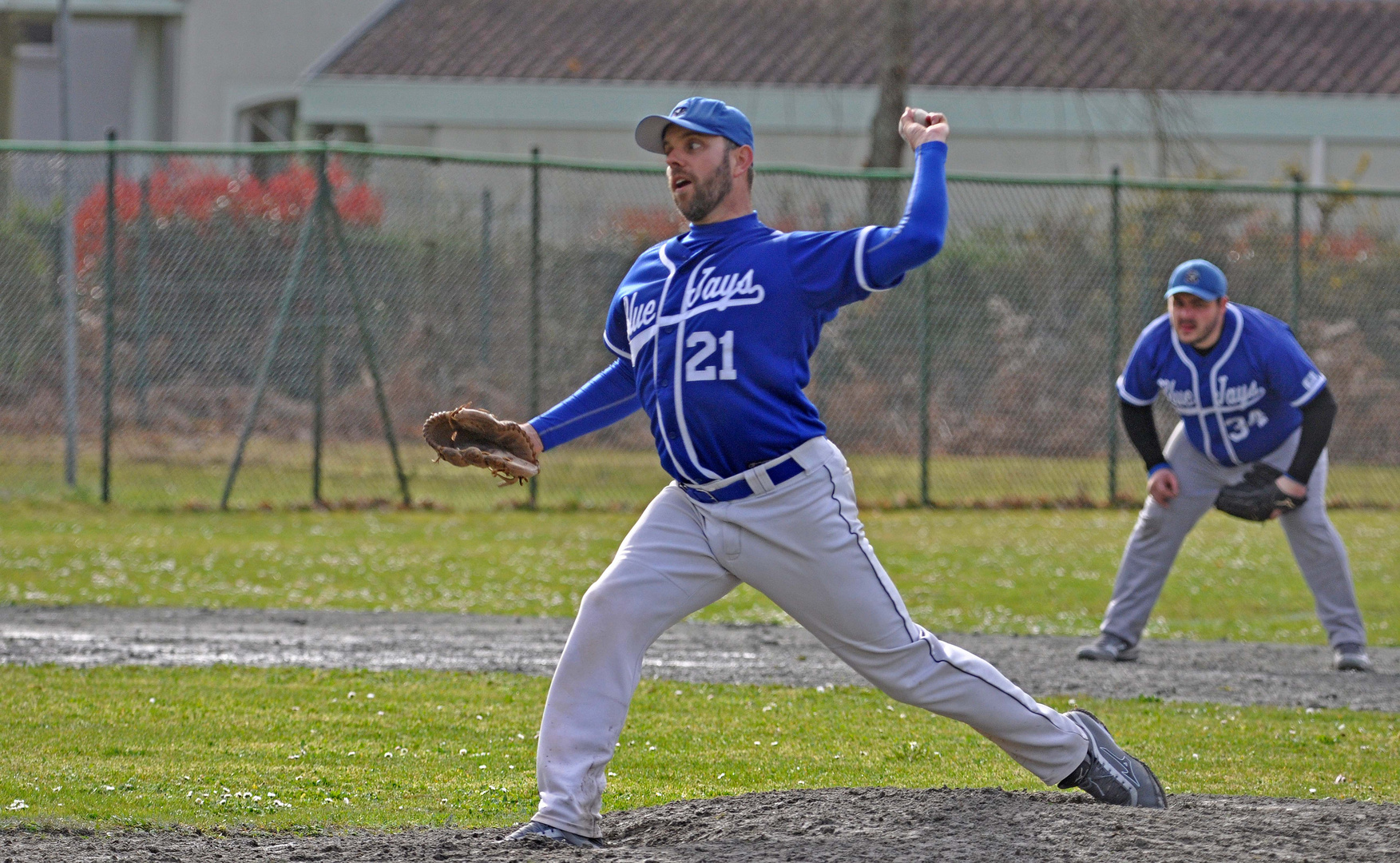 Blue Jays Baseball