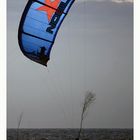 Blue-Kite
