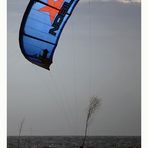 Blue-Kite