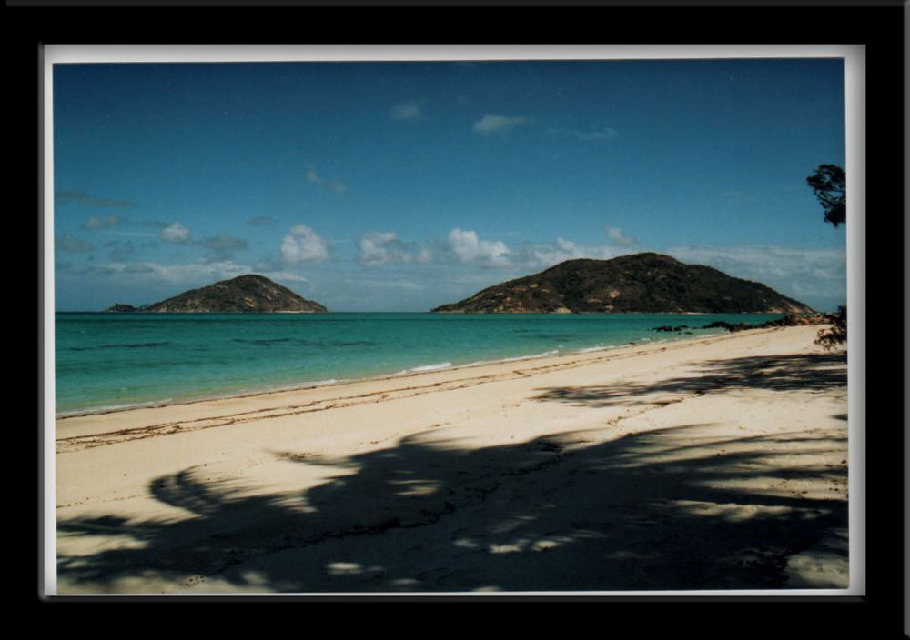 Blue Lagoon Lizard Island