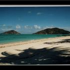 Blue Lagoon Lizard Island