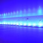 Blue LED