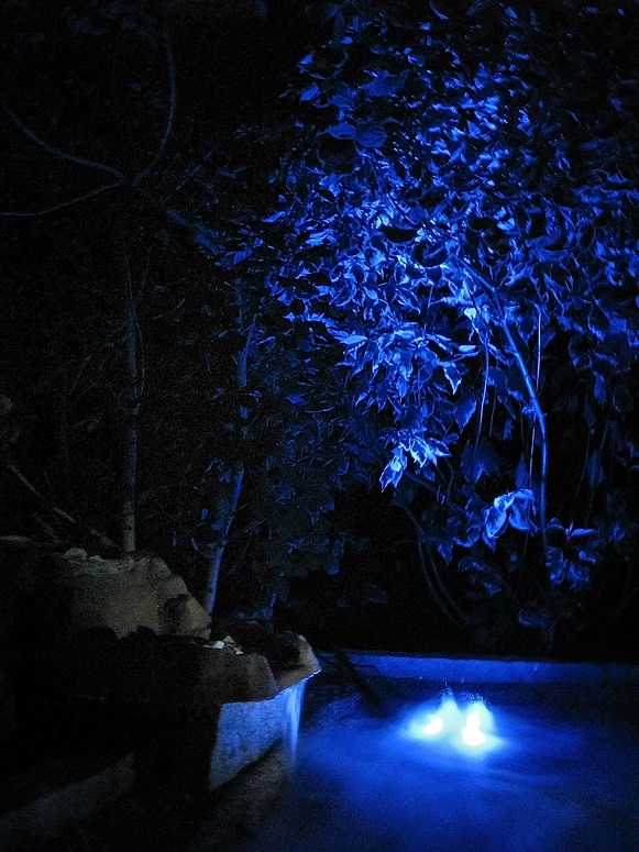 blue Light