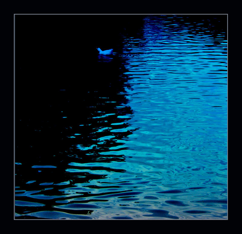 ....blue lights and reflected shadows