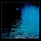 ....blue lights and reflected shadows