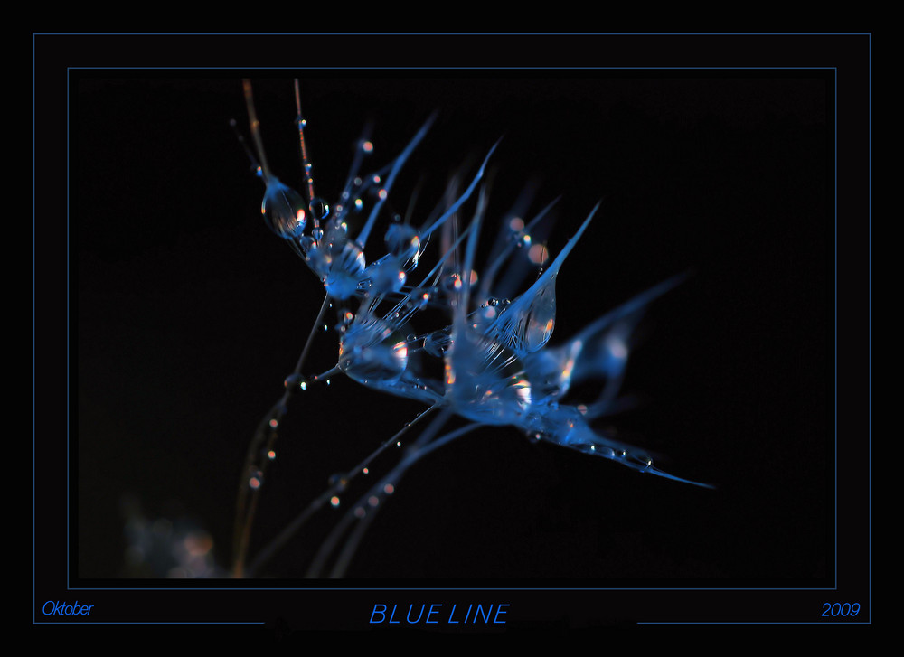 blue line