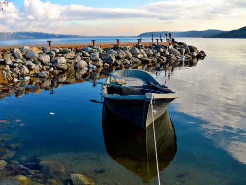 Blue loneliness...