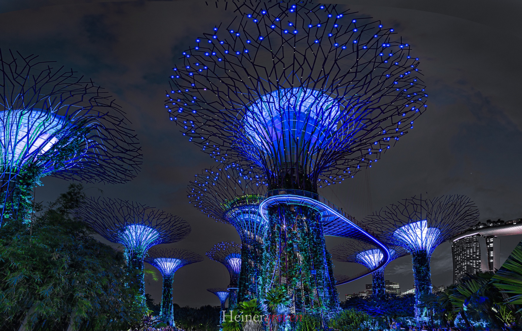 Blue Magic Trees