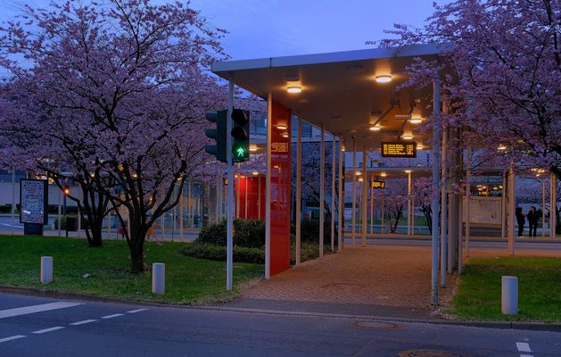 Blue Manday-6-(2025)