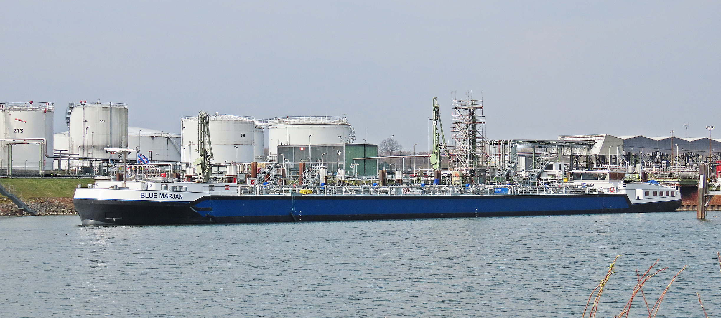 BLUE MARJAN im Hafen von Flörsheim